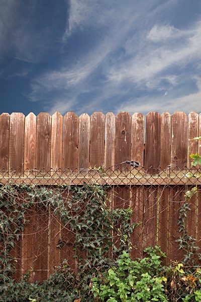 Germany, North Rhine-Westphalia, Neuss, wooden fence and wire