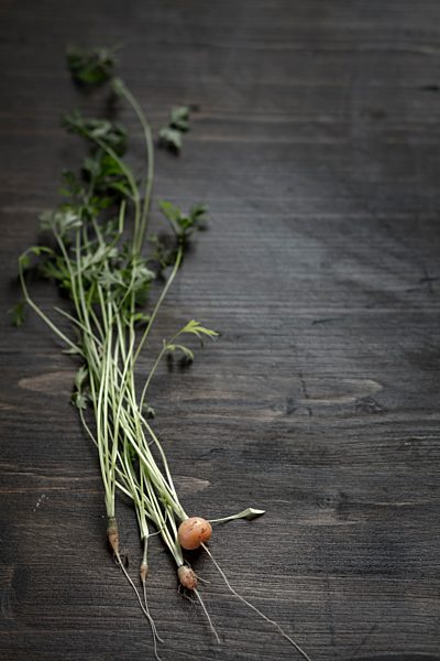 Fresh baby carrots with stems and leaves on wooden board