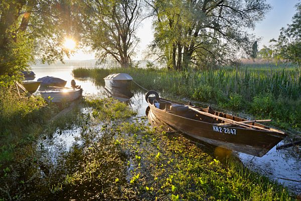 Germany, Baden-Wurttenberg, Reichenau Island, Boats on Lake Constance near Mittelzell