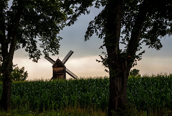 Germany, Brandenburg, Beelitz, Bockmuehle at field, Post mill