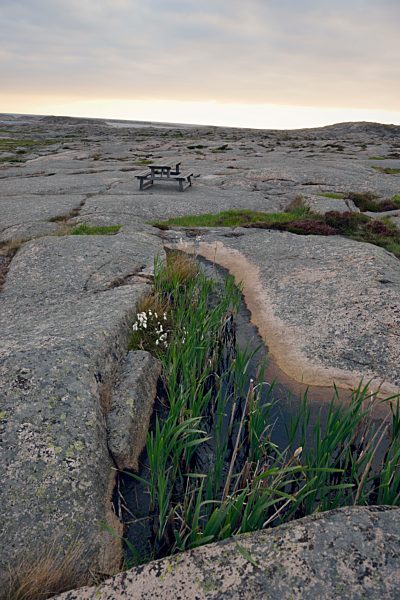 Sweden, Kungshamn, Skerry coast at Baltic Sea