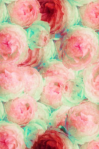 Bunch of roses, alienation