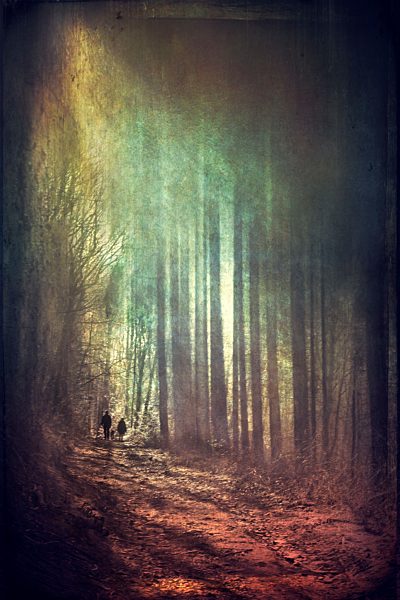Persons walking in forest at sunlight, alienation