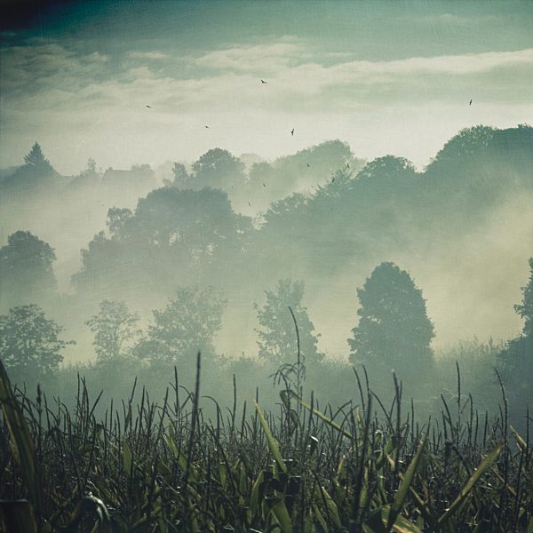 Germany, hilly landscape in fog