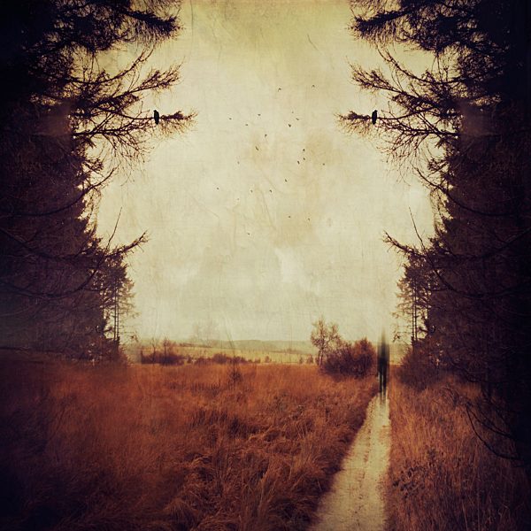 Belgium, Longfaye, silhouette of a man walking on trail through High Venn