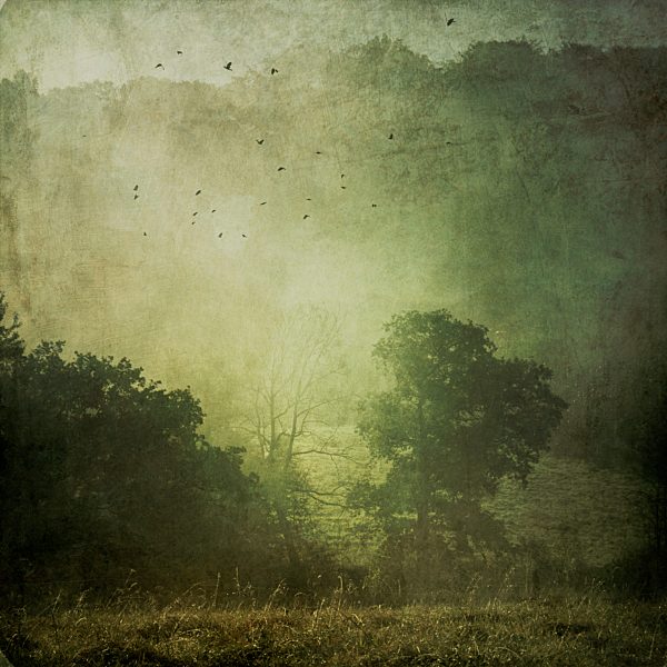 Germany, landscape in morning mist