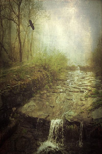Italy, Lombardy, Mallero creek at a rainy day