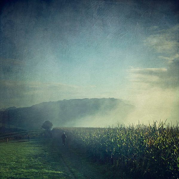 Jogger running in misty landscape at sunrise