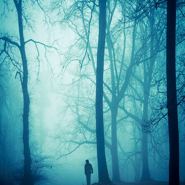 Silhouette of a man in foggy wood at back light
