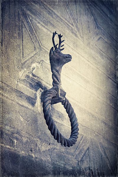 Italy, Sondrio, Wrought-iron ring with deer head on wall, Textured effect