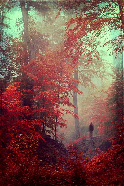 Germany, Dark silhouette of a person in autumn forest, Textured effect