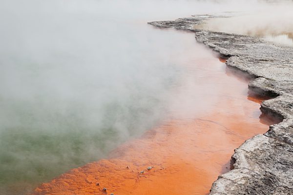 New Zealand, Rotorua, Wai-O-Tapu Thermal Wonderland, Champagne Pool
