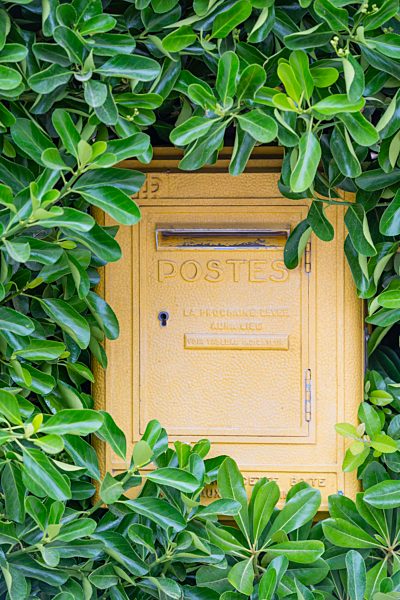 France, Provence Alpes Cote d'Azur, Var, Giens peninsula, postbox surrounded by climbing plant