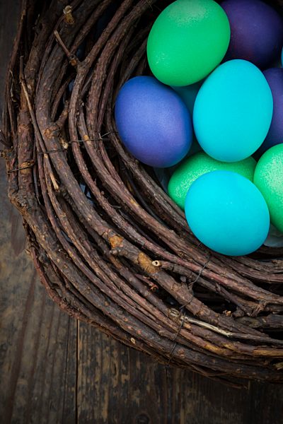 Dyed Ester eggs in nest