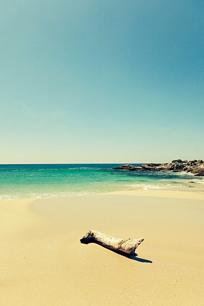 Spain, Majorca, driftwood at beach Es Trenc