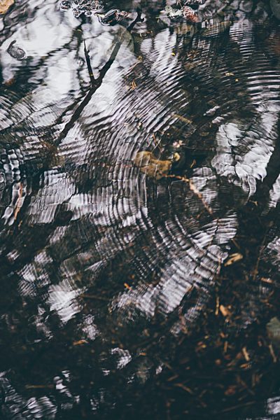 Spain, Segovia, Hayedo de Tejera Negra, Raindrops on the river