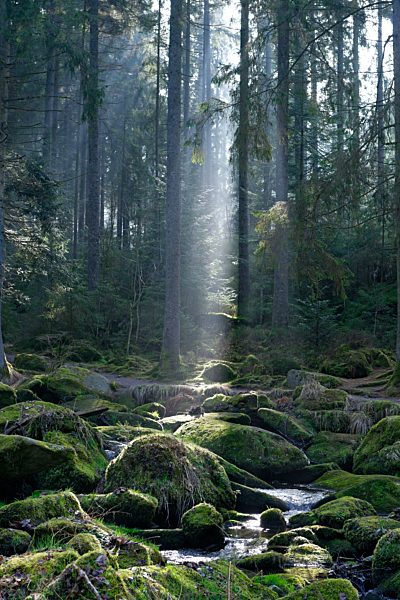 Germany, Bavaria, Lower Bavaria, Bavarian Forest, Waldkirchen, Saussbach gorge and sun beam