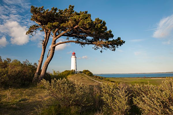 Germany, Mecklenburg-Western Pomerania, Baltic Sea, Lighthouse on Hiddensee island in sunset