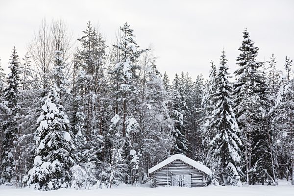 Scandinavia, Finland, Kittilaentie, Wooden hut in the forest, Winter