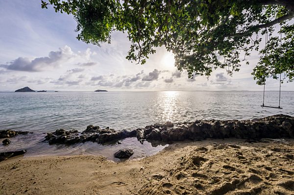 Thailand, Koh Phi Phi Don, Swing on a tree at beach