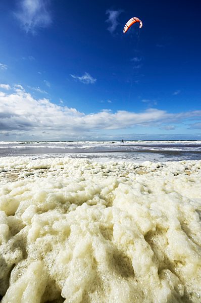 Netherlands, Zeeland, Walcheren, Domburg, Beach, Kite surfer, Foam on the waterfront
