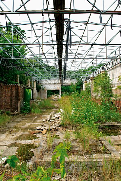 Germany, Brandenburg, Wustermark, Olympic village 1936, decaying military building