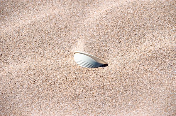 Spain, Fuerteventura, Corralejo, Parque Natural de Corralejo, plastic cup in the sand