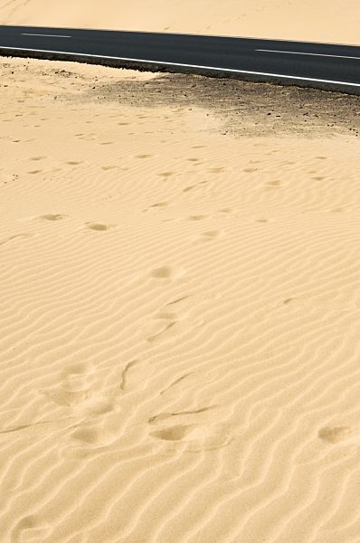 Spain, Fuerteventura, Corralejo, Parque Natural de Corralejo, sand dune and street