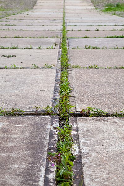 Concrete base plates with gaps full of weeds