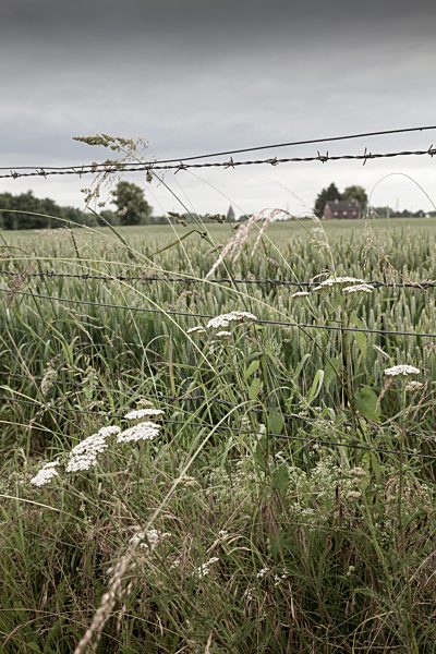 Germany, North Rhine-Westphalia, Luenen, Barbed wire fence at field, House in the background