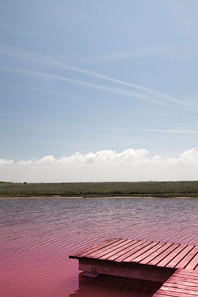 Germany, Lower Saxony, Baltrum, view to a pond with wooden boardwalk