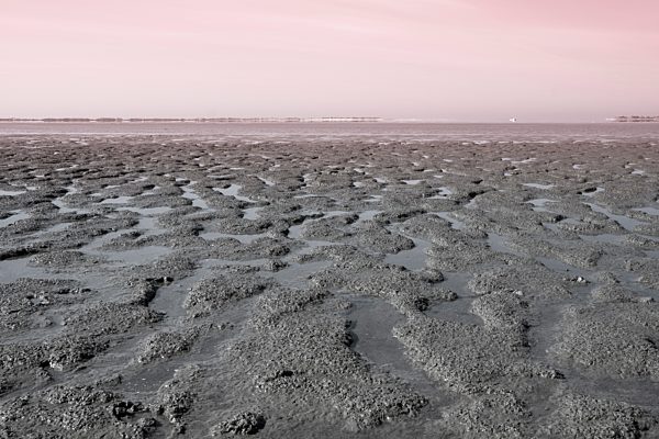 Germany, Lower Saxony, Baltrum, view to wadden sea at low tide