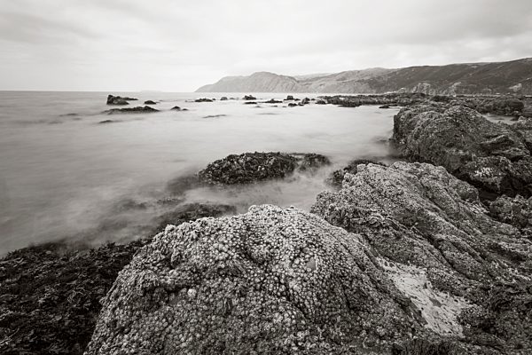 New Zealand, Wellington, Kapiti, Kapiti Coast