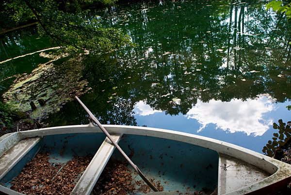 Austria, Upper Austria, Rowboat with oar in pond
