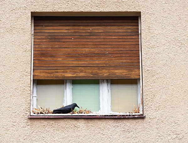 Germany, Bavaria, Regensburg, view of house front