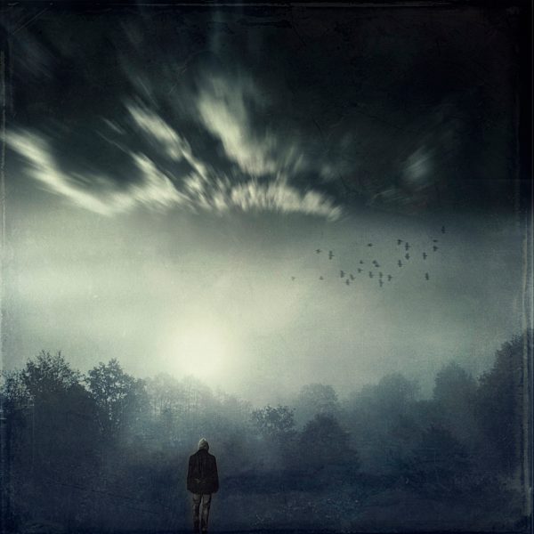 Person standing in landscape at backlight, composite