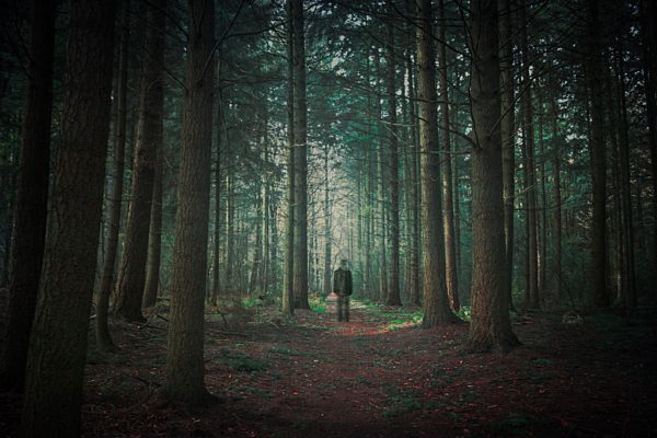 Person walking in dark forest, alienation