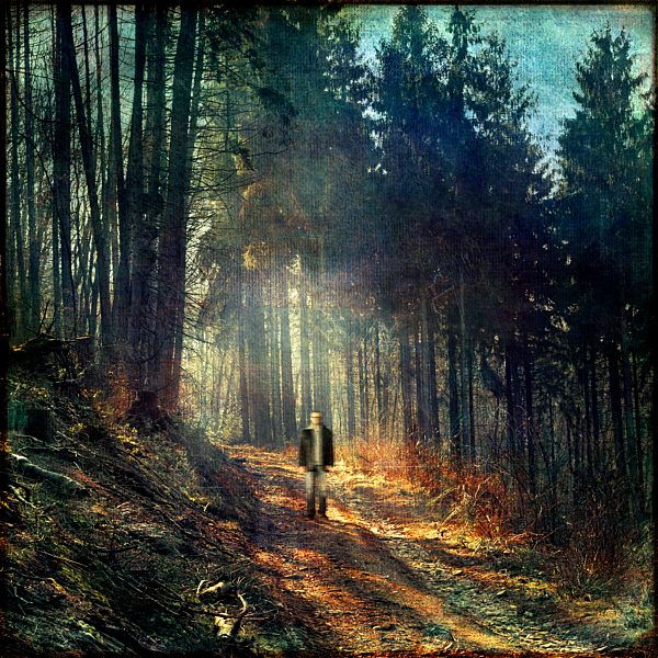Man walking in forest, composing