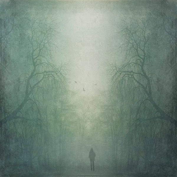 Person walking through misty forest, composite