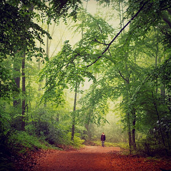 Germany, man walking in the woods
