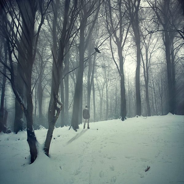 Germany, man standing in snow-covered forest