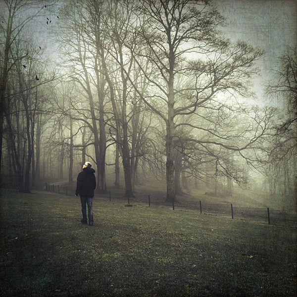 Germany, near Wuppertal, Man looking to birds, Foggy day in winter, Textured effect