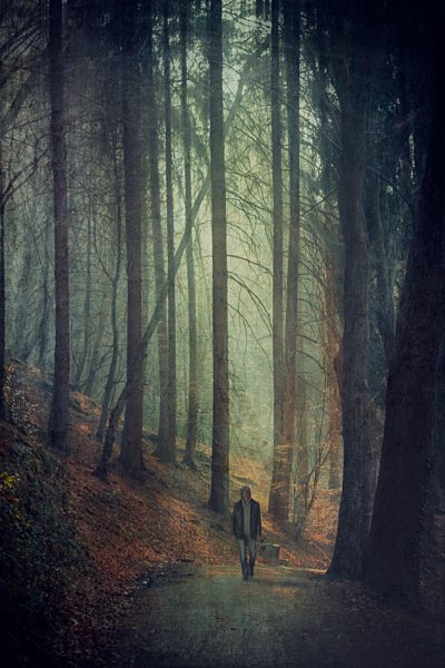 Germany, Solingen, Man on forest path, Textured effect
