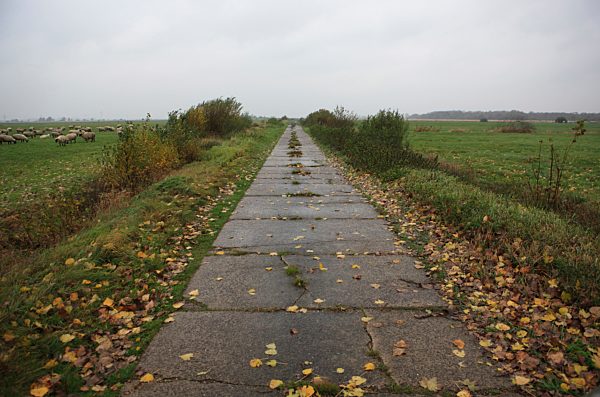 Germany, Lower Saxony, Wesermarsch, Field path in the rain