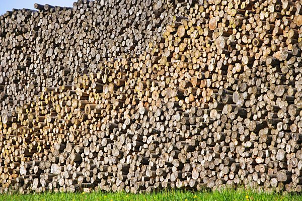 Stack of logs