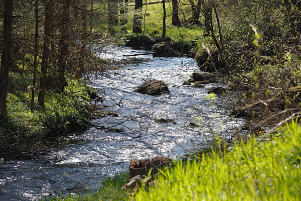 Germany, Bavaria, Franconia, Upper Franconia, Franconian Switzerland, Pottenstein, View of stream in Puettlach valley