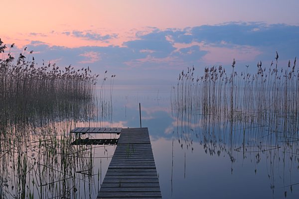 Germany, Mecklenburg-Vorpommern, Mecklenburger Seenplatte, Plau am See, View of jetty at sunrise with reeds at lake