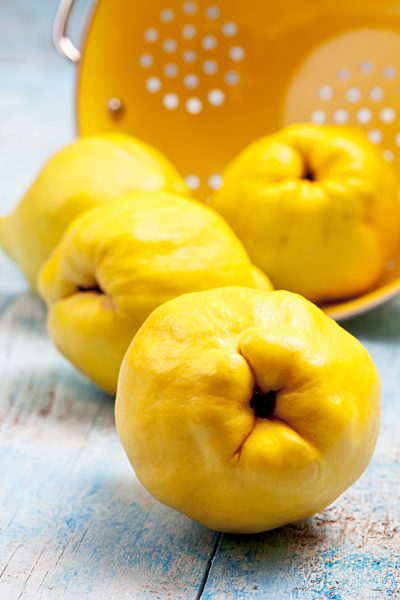 Four quinces (Cydonia oblonga) and a yellow colander on wooden table