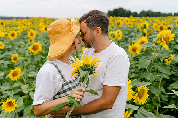 Romantic couple embracing in sunflower field showing affection