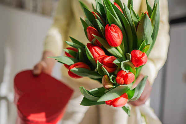 Bouquet of red tulips and gift box for women's day celebration